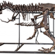 Illustration for article titled This $2.39 Million Half-Complete T-Rex Doesn't Cost Money, It Makes Money
